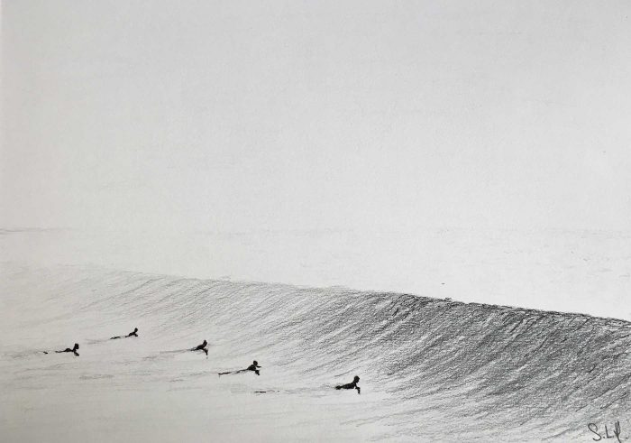 Surfeurs ou tortues